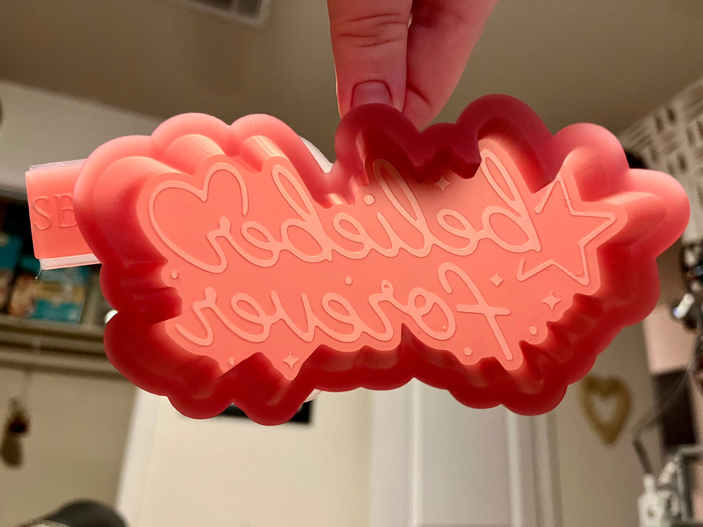 Belieber Forever Silicone Freshie Mold
