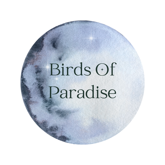 Birds Of Paradise Scented Aroma Beads