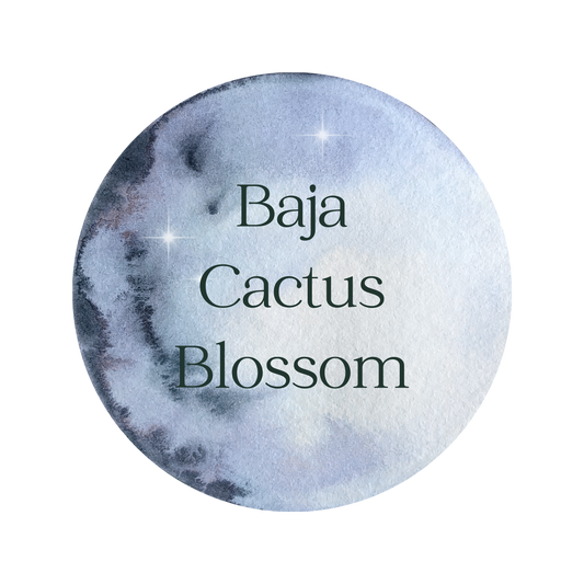 Baja Cactus Blossom Scented Aroma Beads
