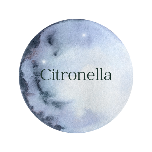 Citronella Scented Aroma Beads