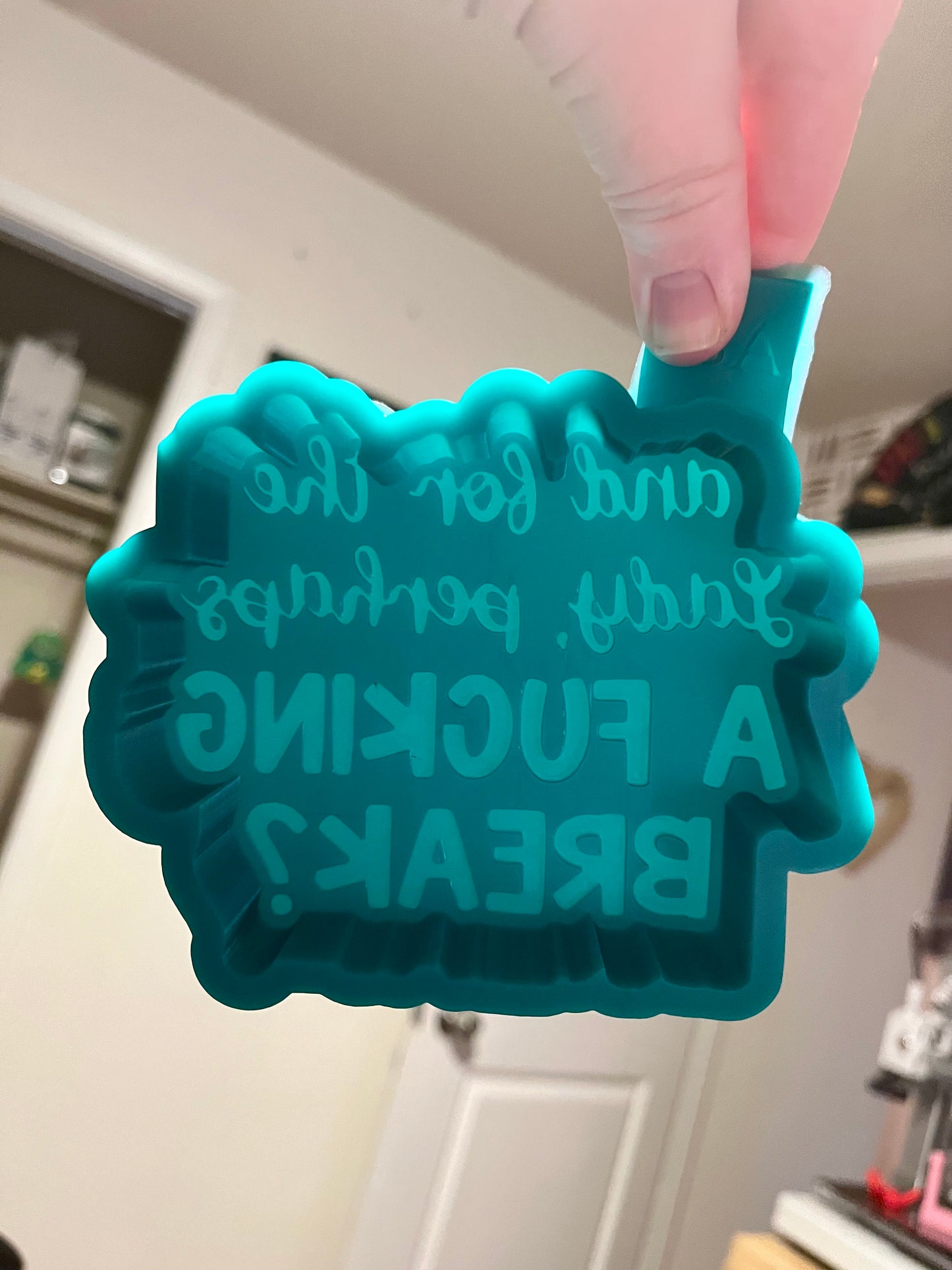 And For The Lady, Perhaps A Break? Silicone Freshie Mold